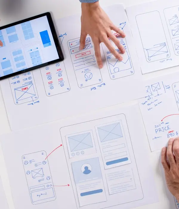 Web design e sviluppo software